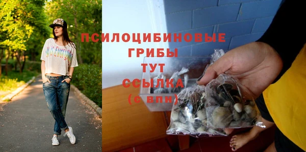 ALPHA PVP Арсеньев