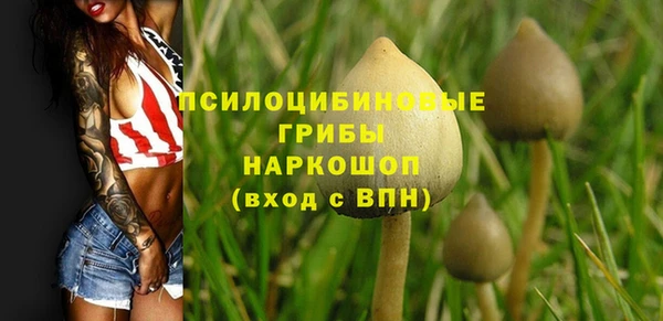 ALPHA PVP Арсеньев