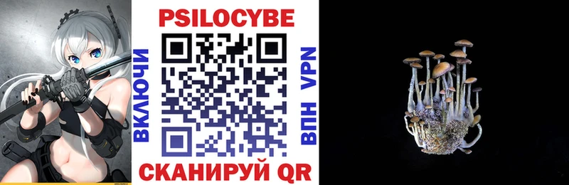 Псилоцибиновые грибы Cubensis  закладка  Советская Гавань 