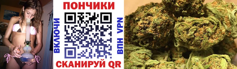 Канабис сатива OMG как войти Советская Гавань